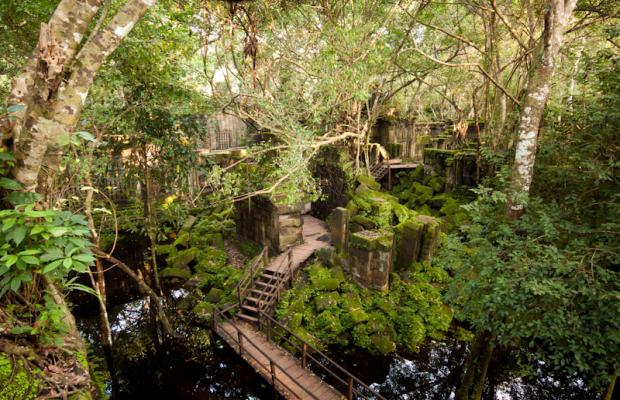Beng Mealea Tours
