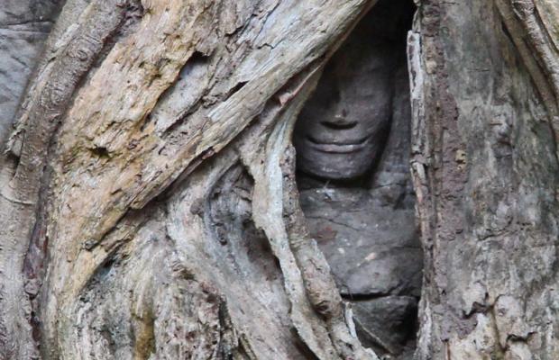 Siem Reap 1 Amazing Day Tours